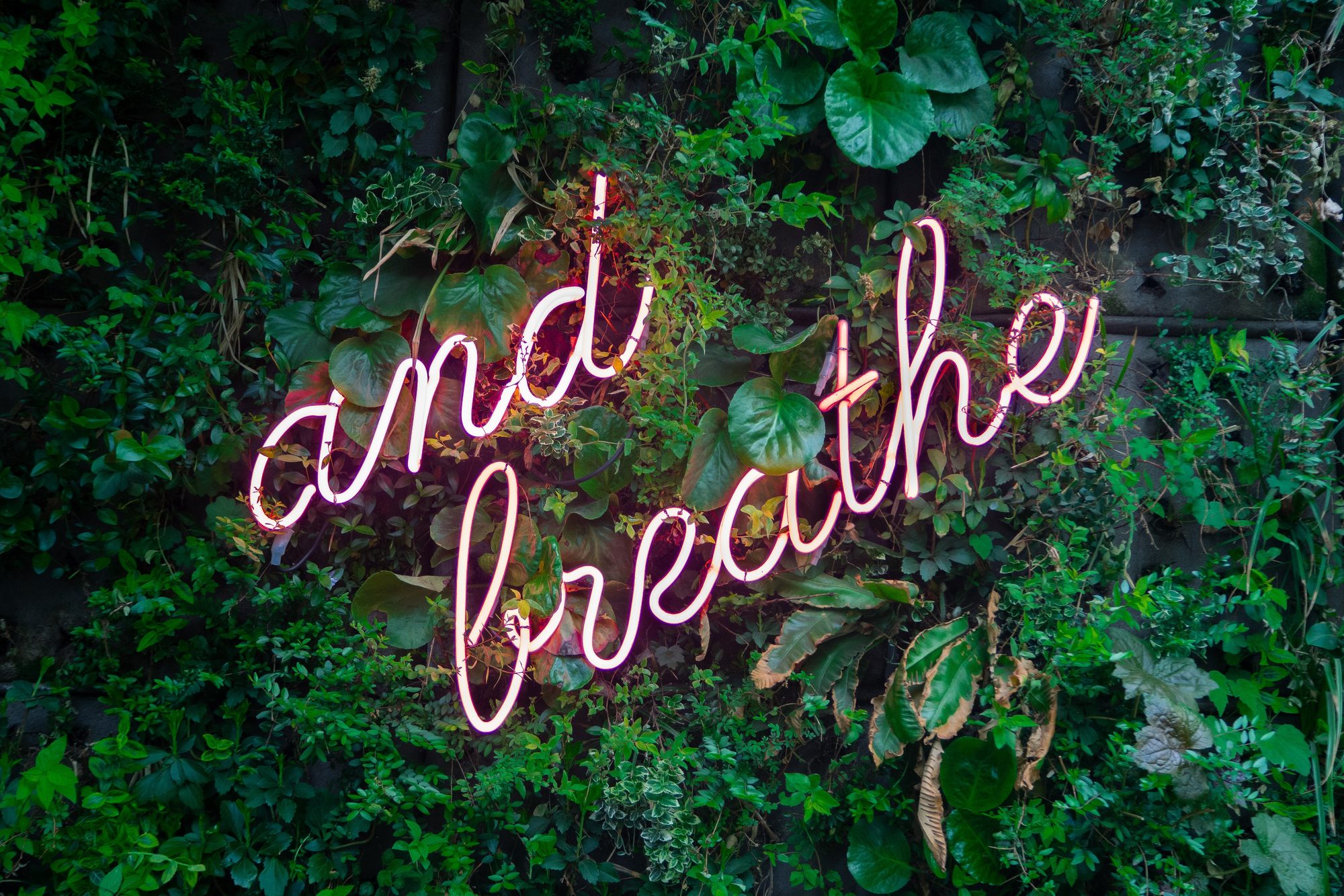 Stress and Healing